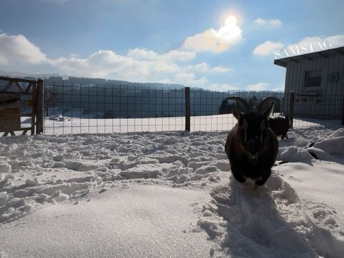 Winterbild Winterbild