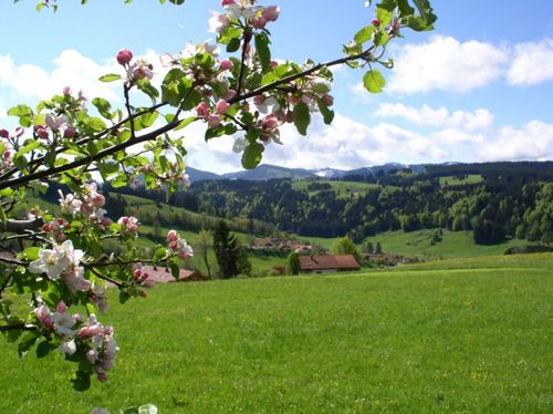 Blick vom Hof Blick vom Hof