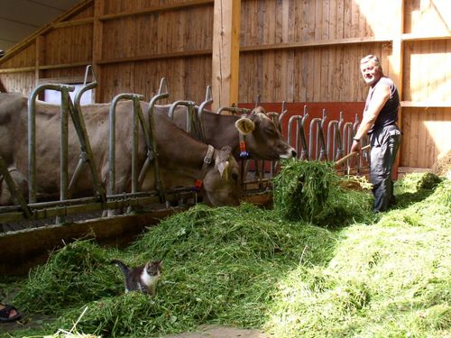 Stallarbeit am Biohof Mayer Stallarbeit am Biohof Mayer