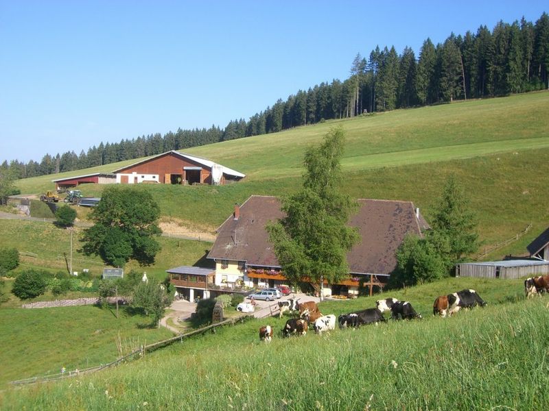 Fuchslochhof Fuchslochhof