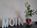MOIN MOIN