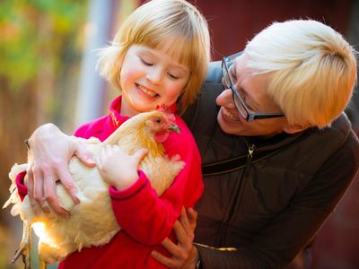 Tiere am Hof