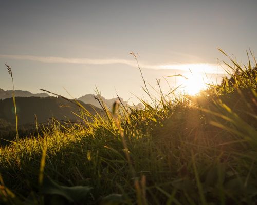 Da kumt die Sun Bild von Paul Wolf Da kumt die Sun Bild von Paul Wolf