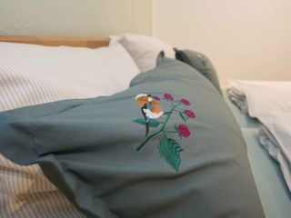 Ferienwohnungen Drostenhof - Familie Rensing Nordenau -  Ferienwohnung Klatschmohn