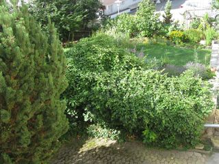 Blick vom Balkon