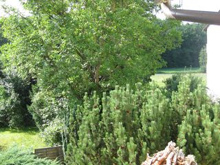 Blick vom Balkon
