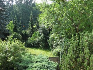 Blick vom Balkon