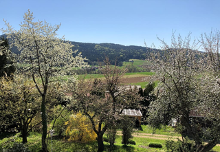 Balkon Zimmer 1