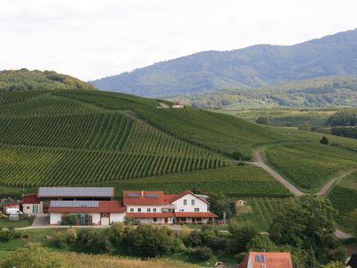 Weingut Berner