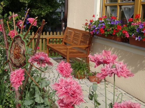Garten vorm Haus