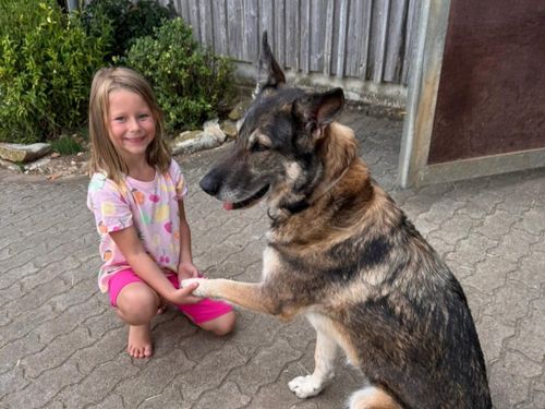 Unsere Laika
