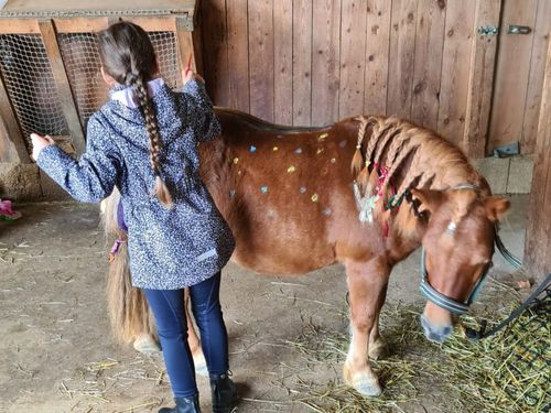 Im Stall wird s richtig bunt!