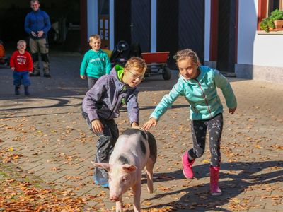 Ein Schwein ist entwischt. Schnell helfen Alle beim einfangen.