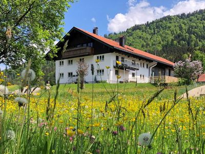 Unser Hof im Sommer