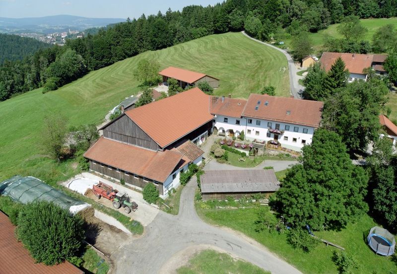 Höhenflug Höhenflug