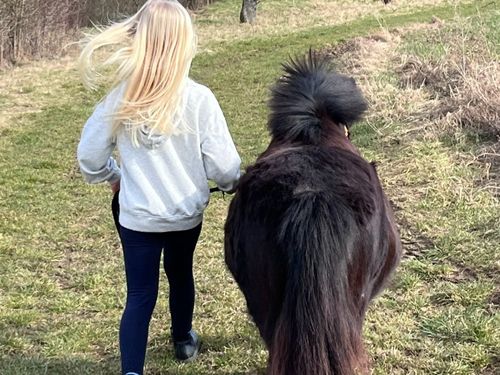 Pony führen Pony führen