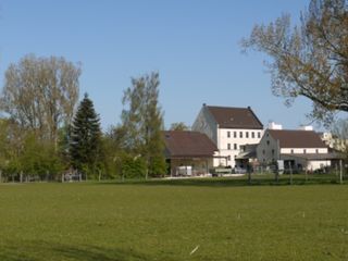 p1100373
