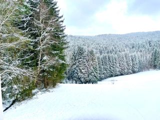 Schnecknhaisl