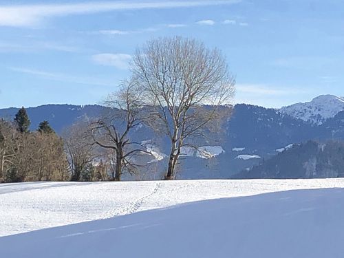 winterpanorama winterpanorama