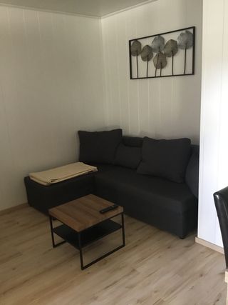 Wohnzimmer/Couch mit Schlaffunktion
