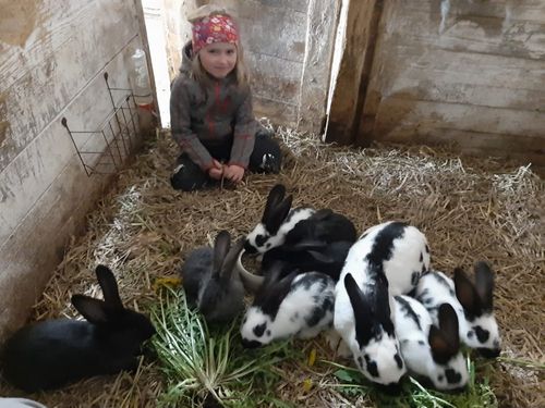 Sofie mit Hasen Sofie mit Hasen