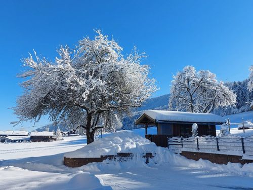 Unsere verschneiten Obstbäume Unsere verschneiten Obstbäume