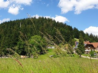 Sandras-Bergstation Sommeridylle