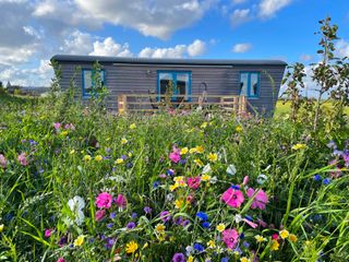 Tiny House Deichgraf Aussenansicht