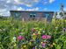 Tiny House Deichgraf Aussenansicht