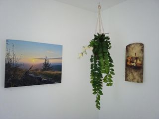 Bild 2 Wohnküche