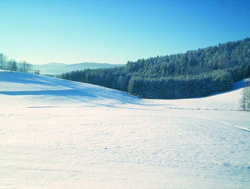 stimmung_winter stimmung_winter