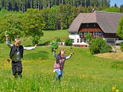 Urlaub auf dem Zuckerbauernhof