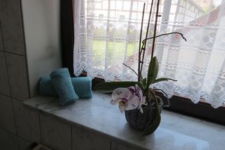 Uller`s Ferienwohnung im Usseltal