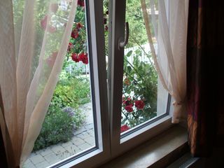 fenster-mit-rosen