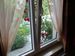 fenster-mit-rosen