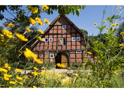 Hof am Kolk im FrÃ¼hling