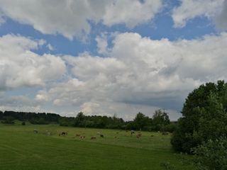 Aussicht zur Nordseite Wiese