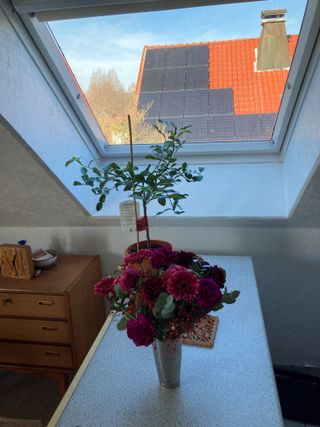Mit liebe zum Detail Ferienwohnung Winkels in Borken
