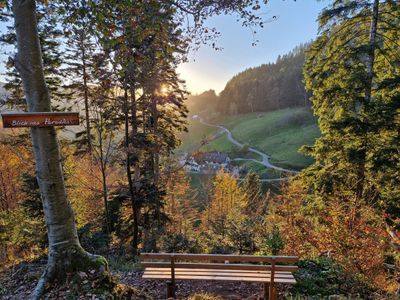 Blick ins Paradies