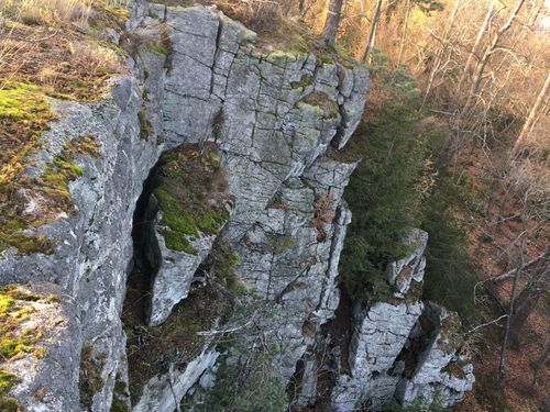 Felsen im Steinwald Felsen im Steinwald