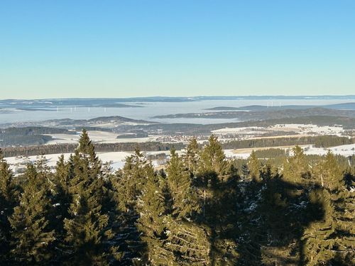 Steinwald Steinwald