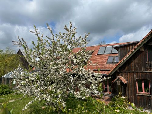 Ferienwohnung Lippert Ferienwohnung Lippert