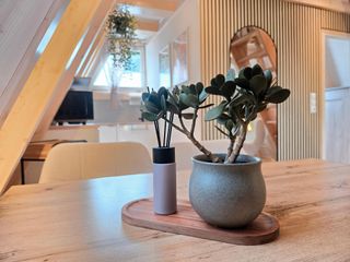 Ferienhaus FREYNEST
