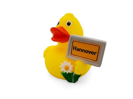 Rubber duck