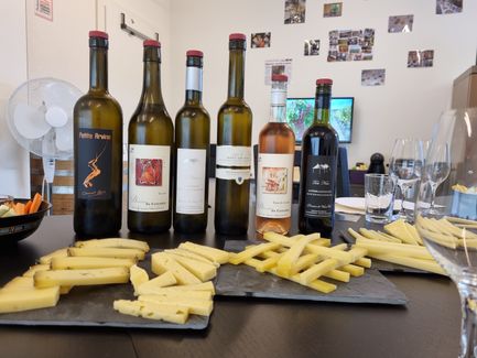 VinoHelp - Vins et Fromages