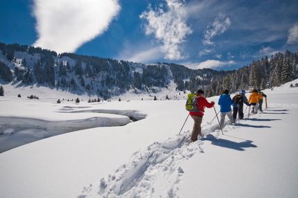 Wildtier-Erlebnis auf Schneeschuhen am Flumserberg