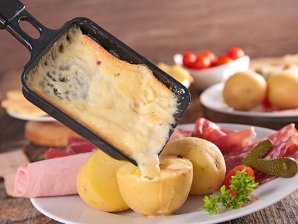 Raclette-Schiff mieten
