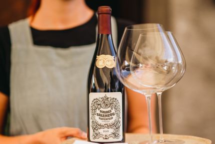 Kleine Weintour - halber Tag