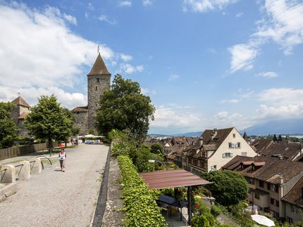 Tagesausflug mit Schokolade, Käse und Schloss