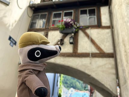 Detektiv-Trail Chur